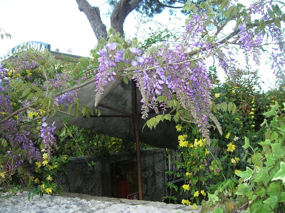 Hotel Villa Pagoda Sirmione Exterior foto